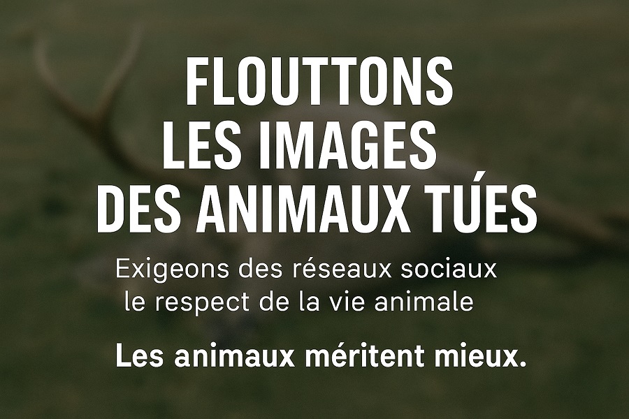 Affiche : Floutage des animaux tués par les chasseurs