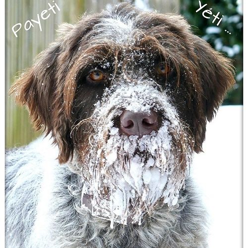 #FR211076 - Concours Photos Animaux  - Braine-le-Comte | AnimalWeb