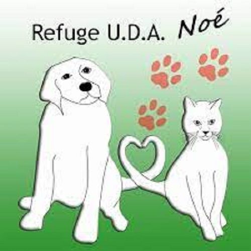 U.D.A. Noé U.D.A. Noé