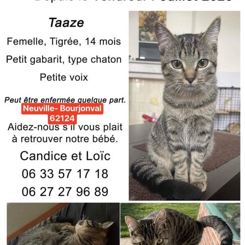 #FR2301517 - Chat perdu