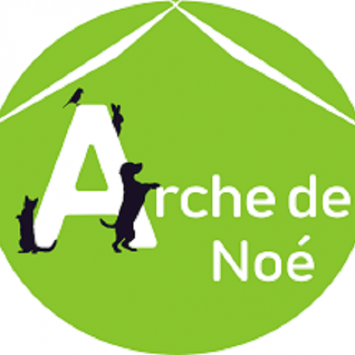 Arche de Noe Arche de Noe