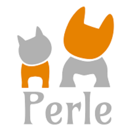 Perle Perle