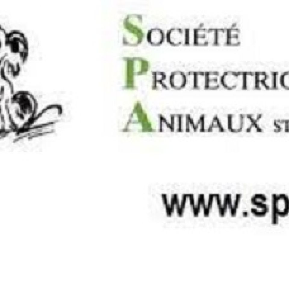 SPA SaintEtienne Refuge pour animaux en France AnimalWeb