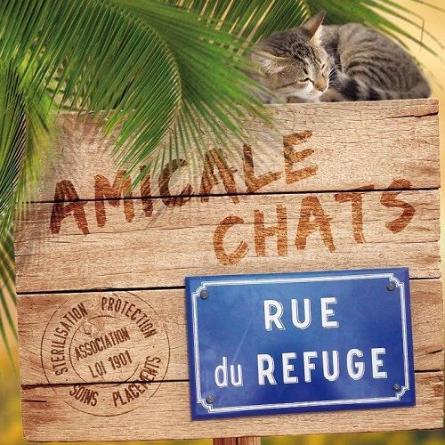 Amicale Chats