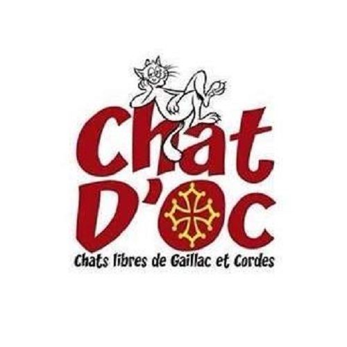 Chat d'Oc