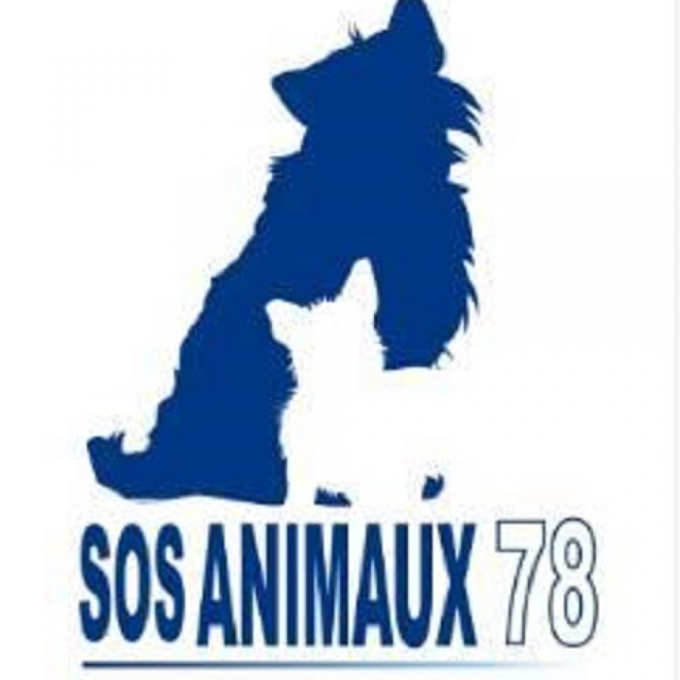 SOS Animaux | Refuge pour animaux en France | AnimalWeb