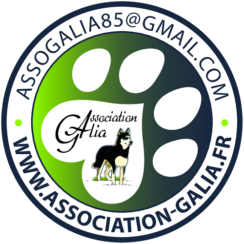 Galia Galia