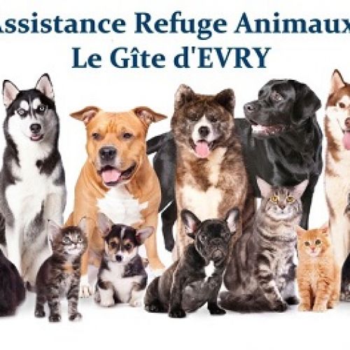 Ara d'Evry Ara d'Evry