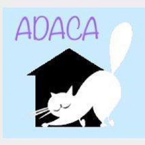 A.D.A.C.A.