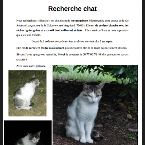 #FR210750 - Chat Perdu #FR210750 - Chat Perdu