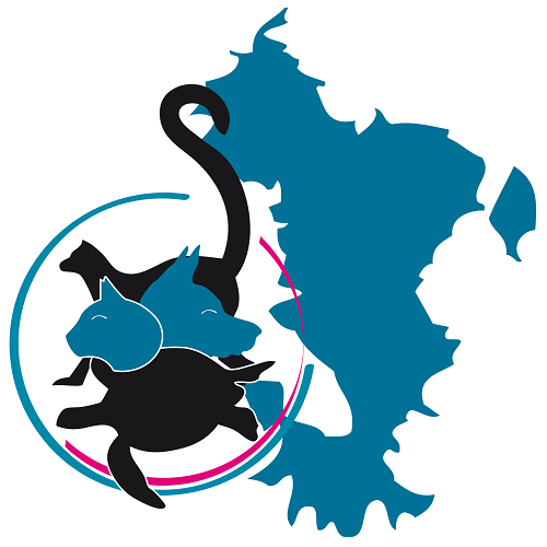 A.P.P.F.976 A.P.P.F.976