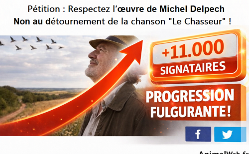 11.000 signatures pour la pétition Michel Delpech